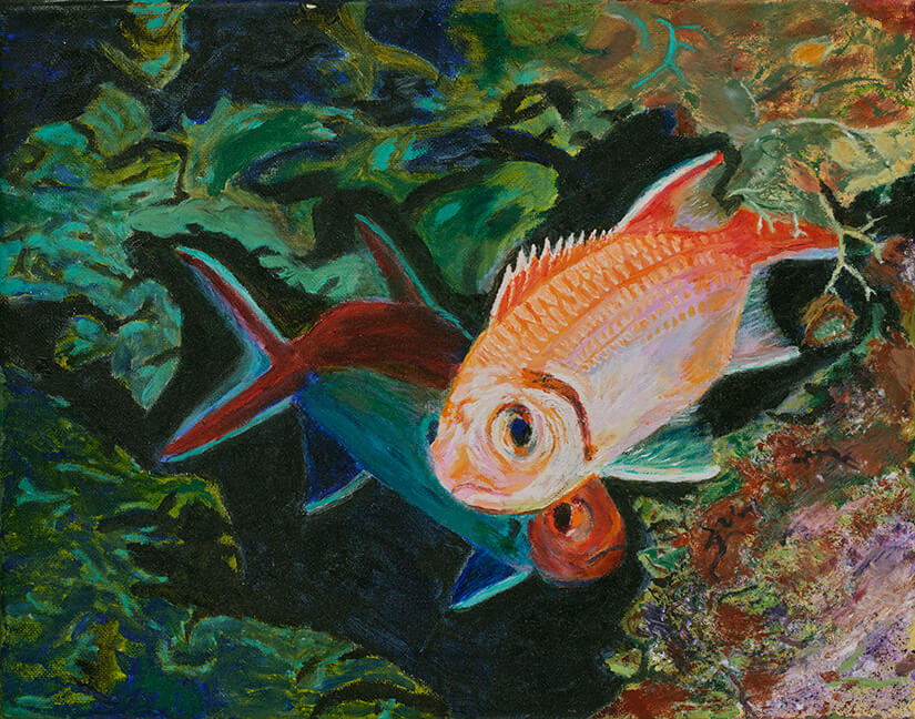 Blackbar soldierfish couple 11 x 14