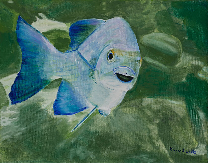 Happy fish 11x 14