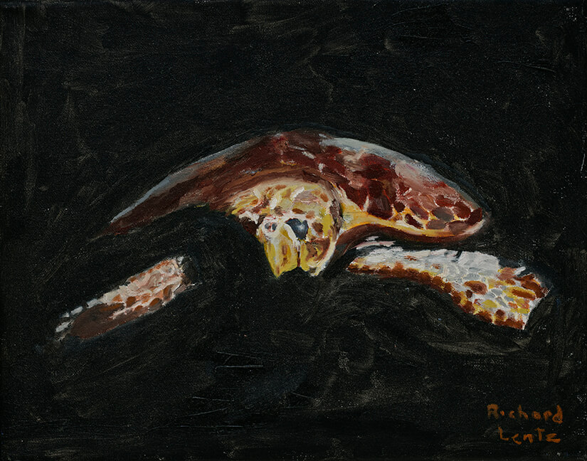 NightTurtle 11 x 14
