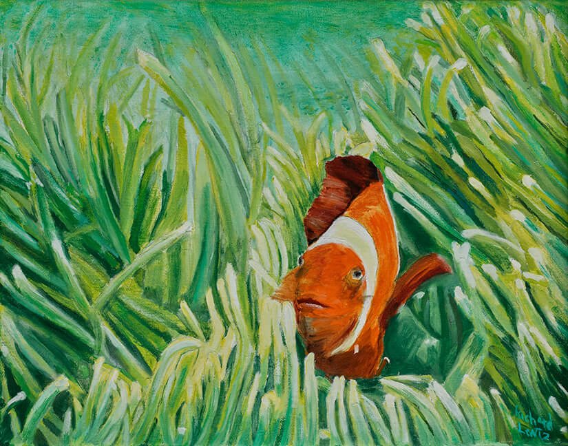 clownfish 11 x 14
